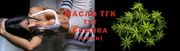 твердый Богородицк