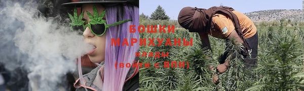 твердый Богородицк