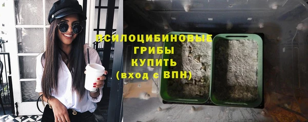 мяу мяу мука Богданович