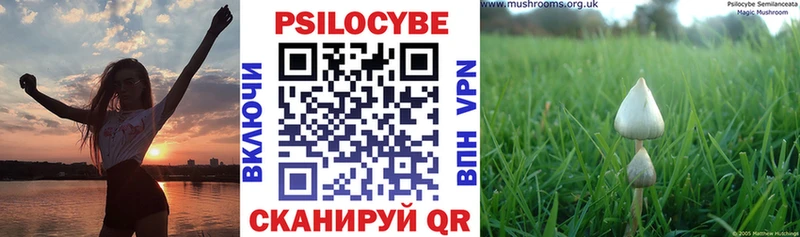 Псилоцибиновые грибы Cubensis  наркота  Вытегра 