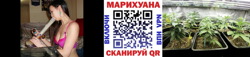 Бошки марихуана THC 21%  купить наркотики сайты  Вытегра 